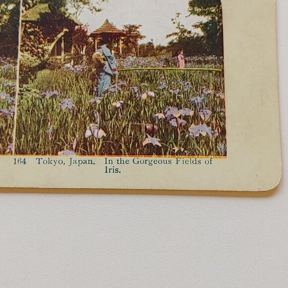 ANTIQUE STEREOGRAPH Card DOUBLE SIDED Tokyo Japan Tiffin House Isl of Java - Picture 4 of 5